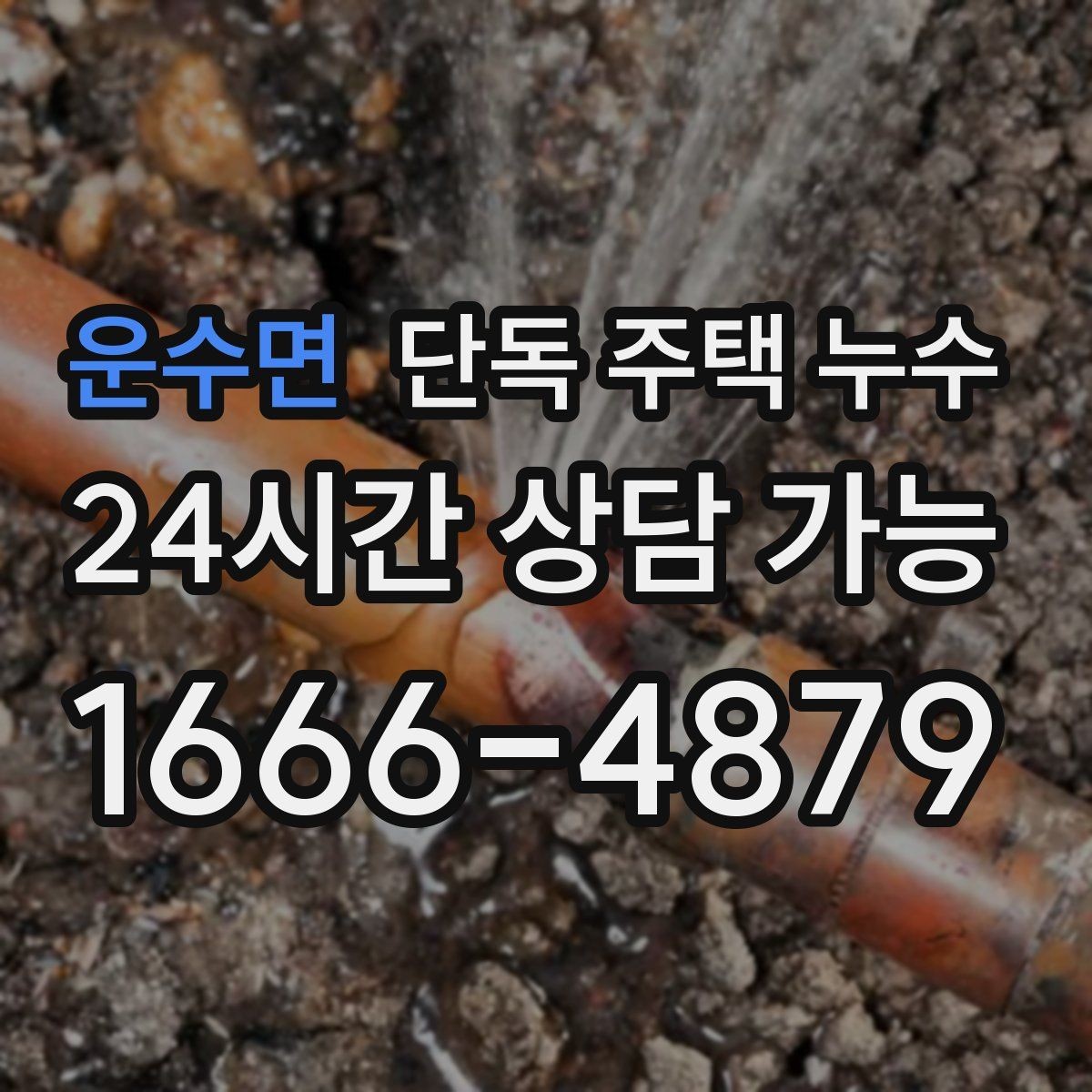 운수면 단독 주택 누수 전기 설비 주변 젖음이 위험한 이유