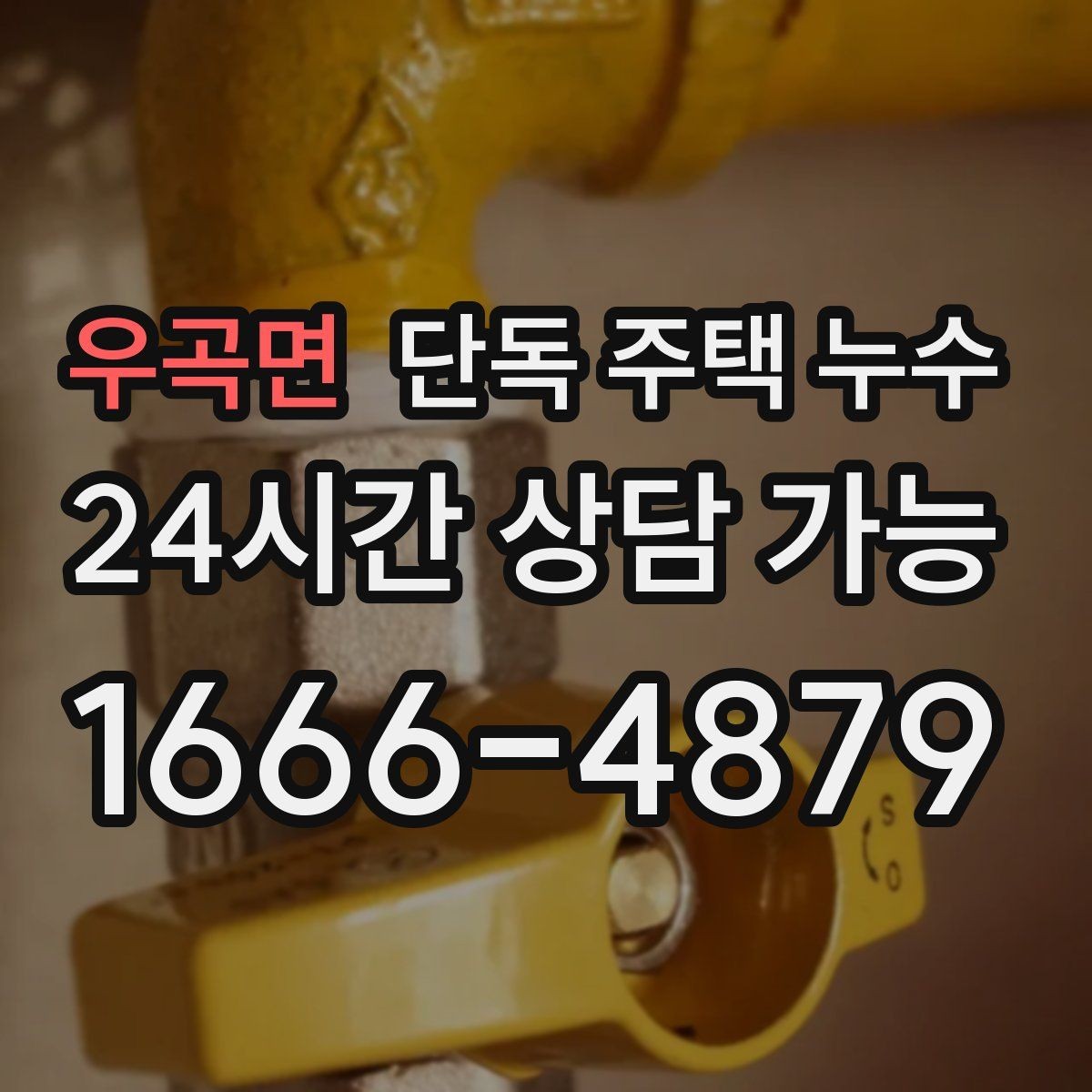 우곡면 단독 주택 누수 마당 경사와 배수 불량이 원인일 때