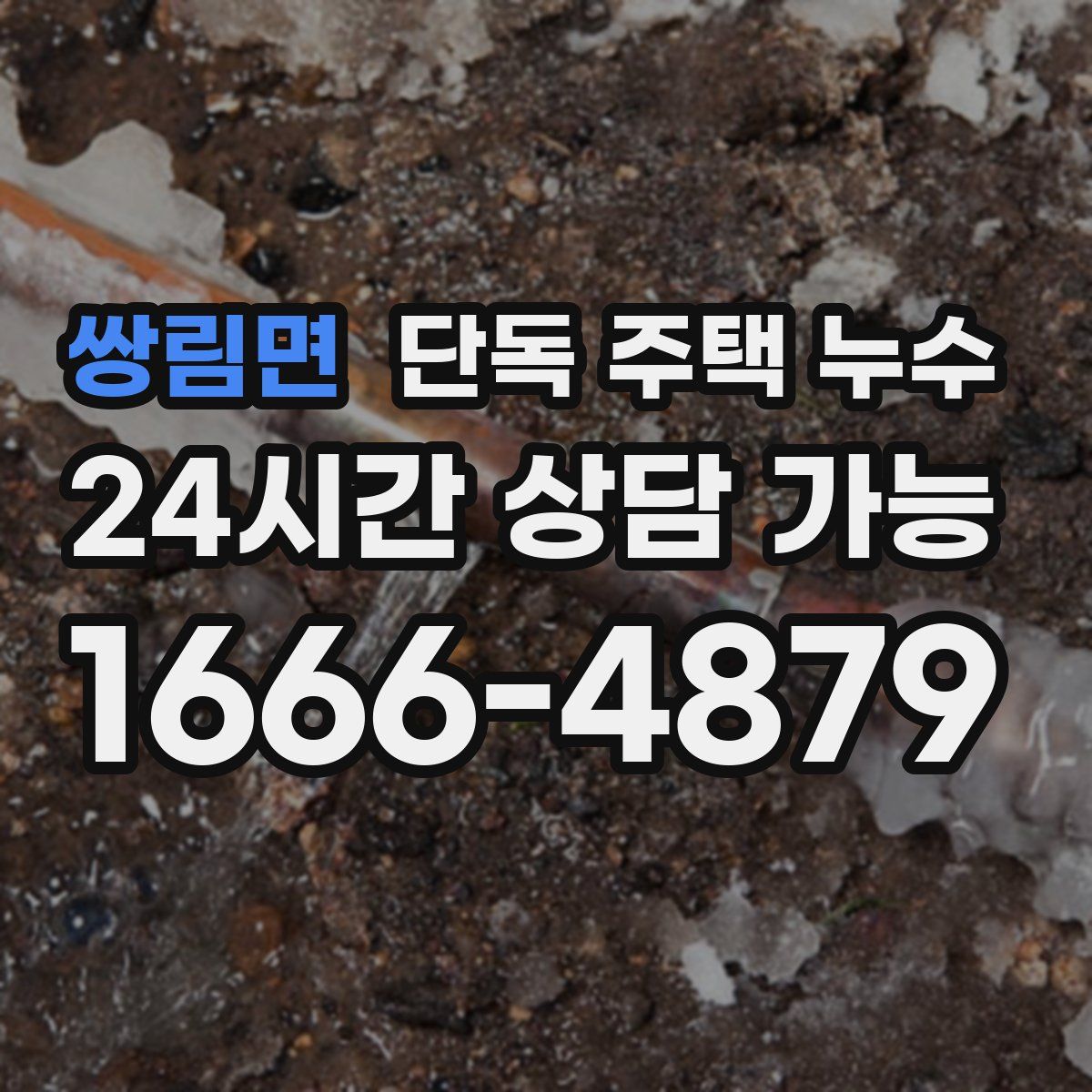 쌍림면 단독 주택 누수