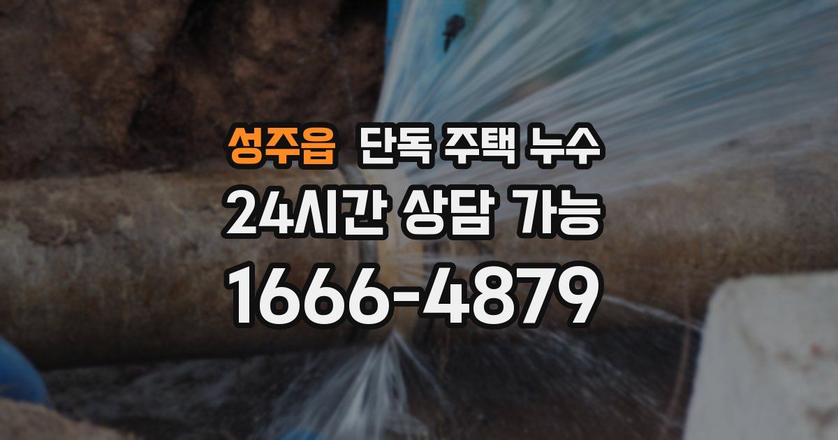 성주읍 단독 주택 누수