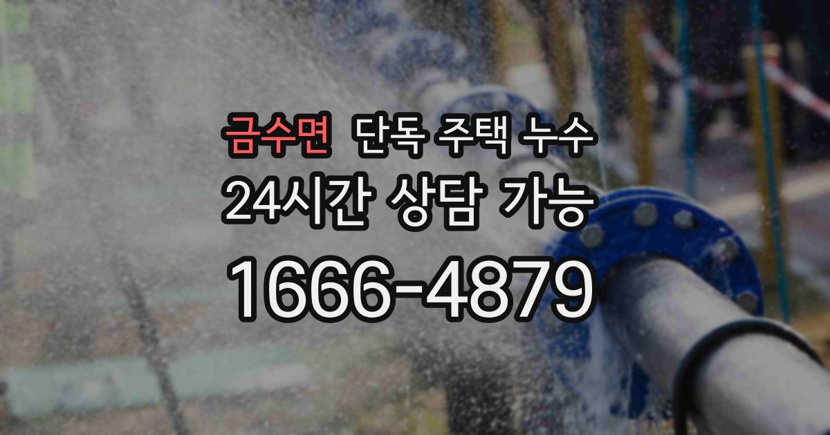 금수면 단독 주택 누수