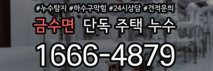 금수면 단독 주택 누수