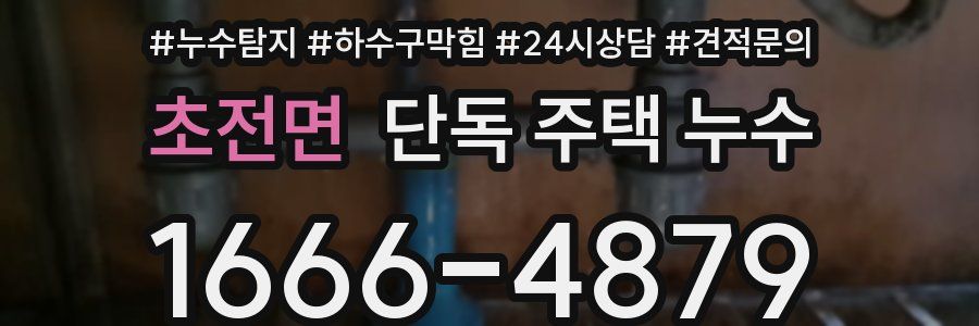 초전면 단독 주택 누수