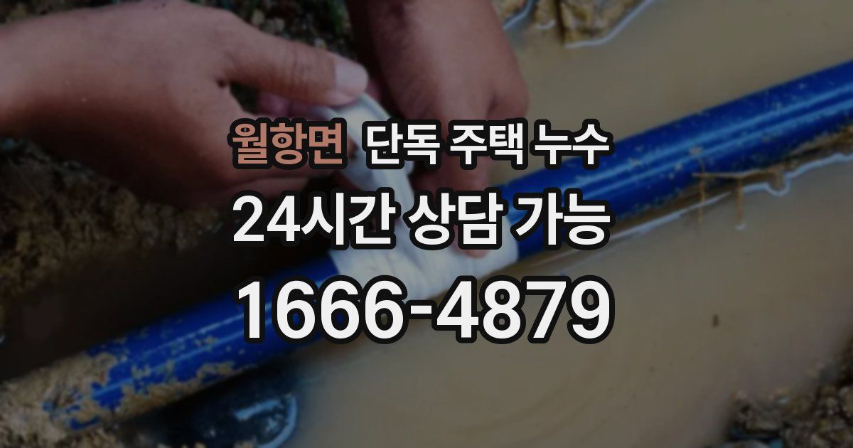 월항면 단독 주택 누수