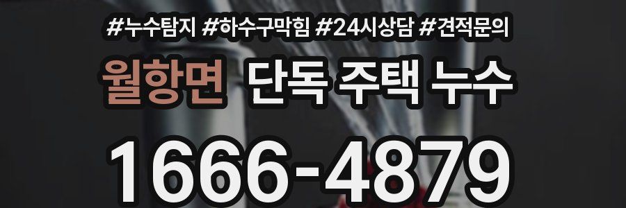 월항면 단독 주택 누수