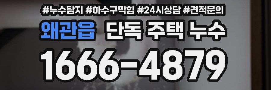 왜관읍 단독 주택 누수