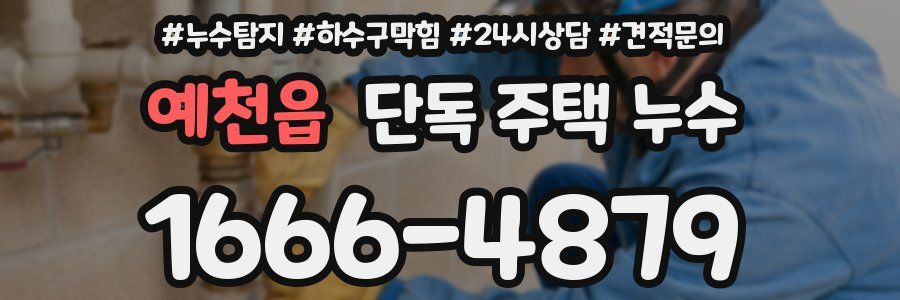 예천읍 단독 주택 누수