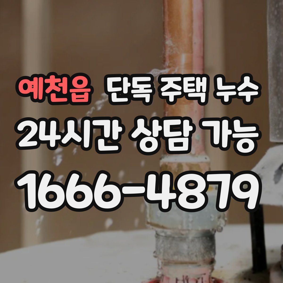 예천읍 단독 주택 누수