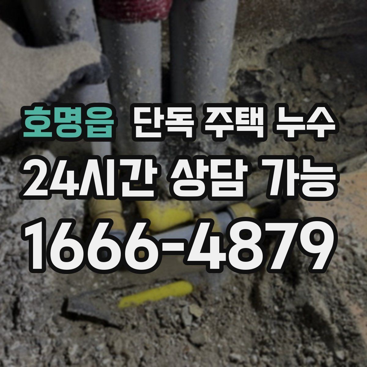 호명읍 단독 주택 누수 조명 주변에 물자국이 생겼을 때 즉시 점검