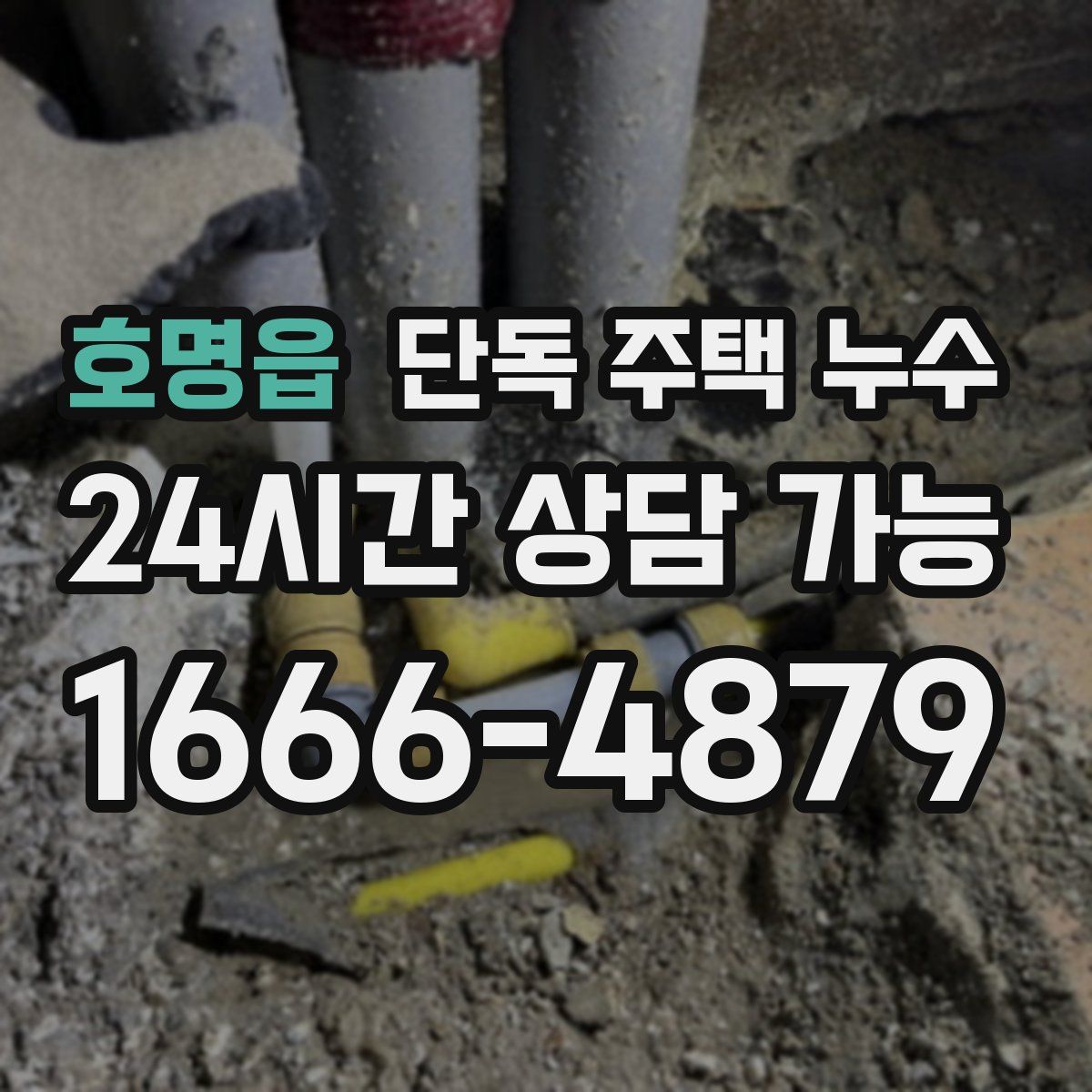 호명읍 단독 주택 누수