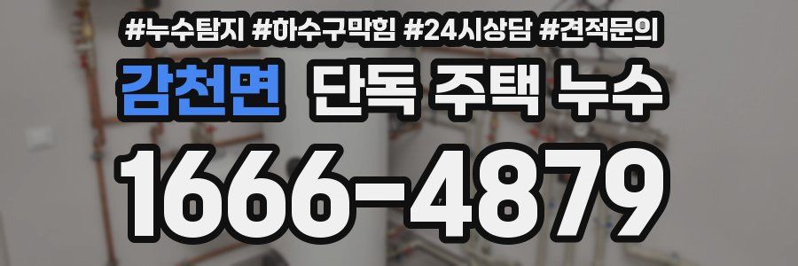 감천면 단독 주택 누수