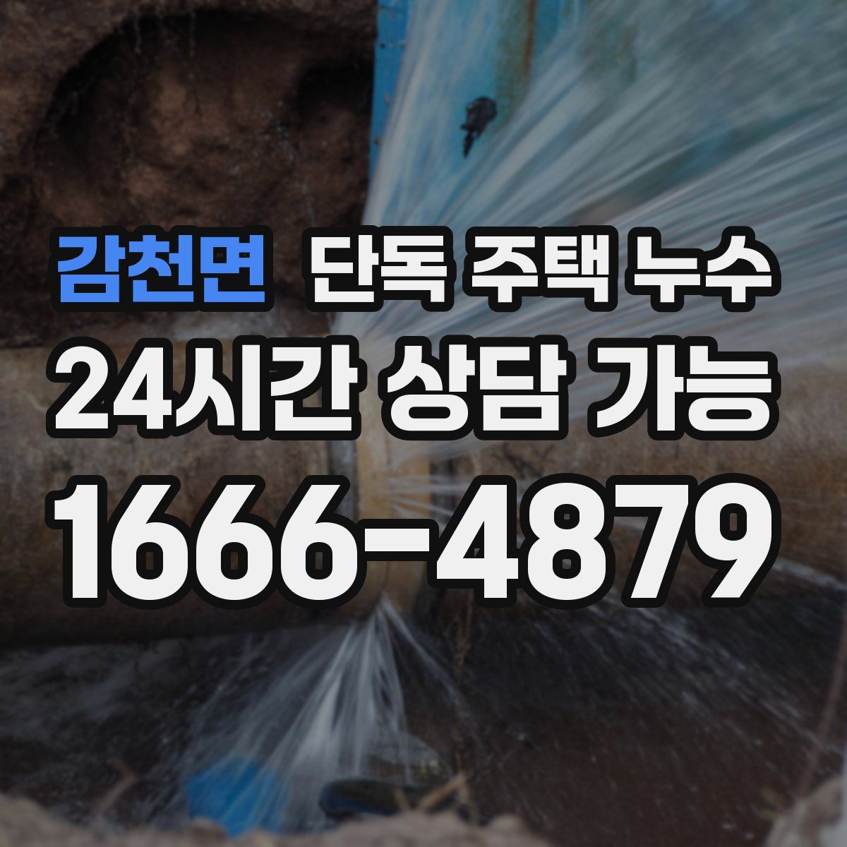 감천면 단독 주택 누수