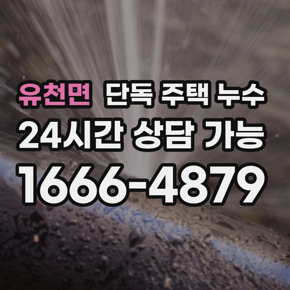 유천면 단독 주택 누수