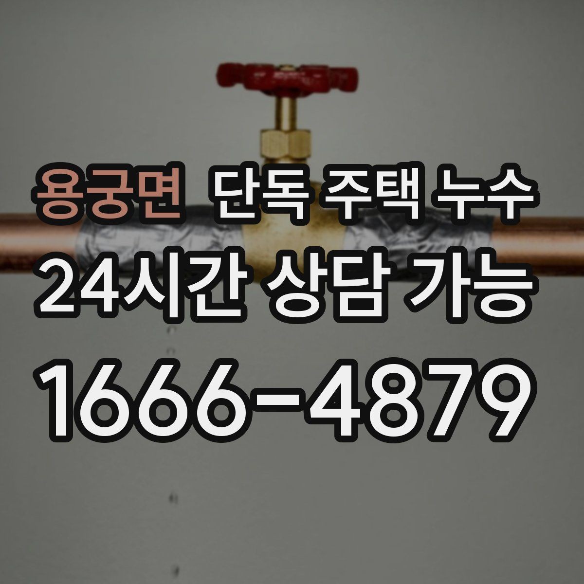 용궁면 단독 주택 누수 환기구 주변 실링 점검해야 하는 이유