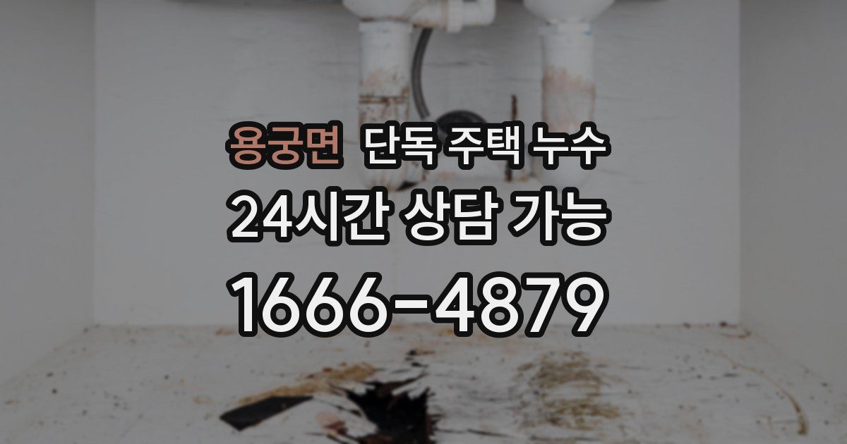 용궁면 단독 주택 누수