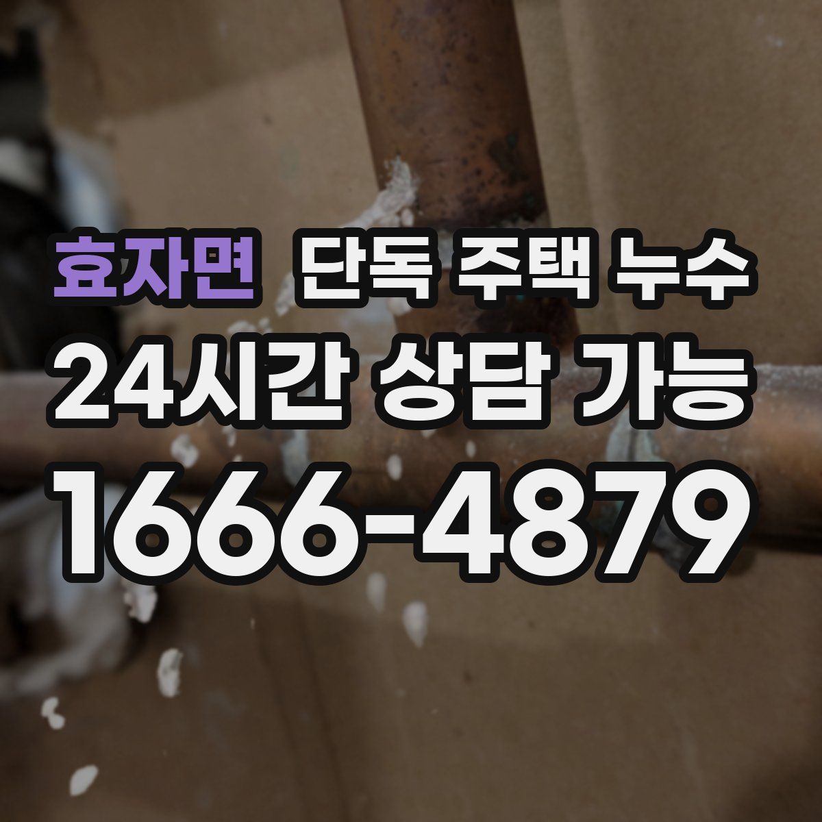 효자면 단독 주택 누수
