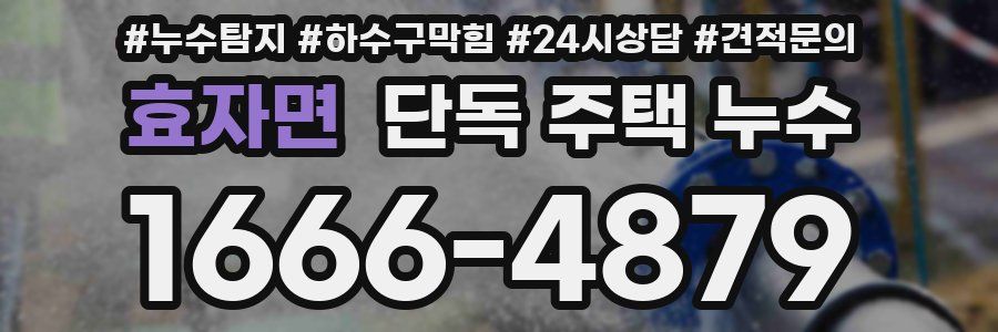 효자면 단독 주택 누수