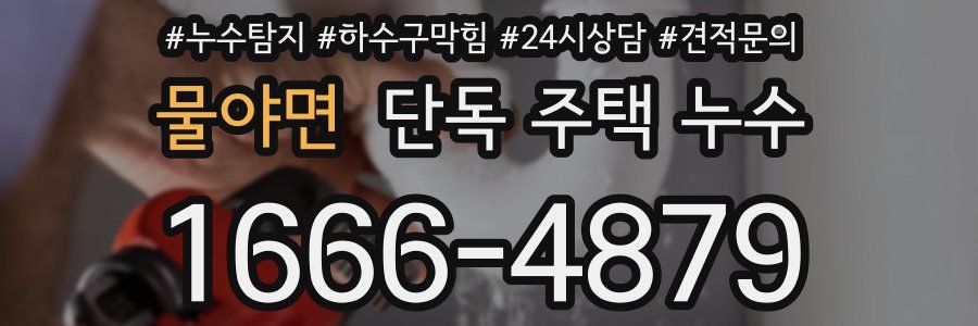 물야면 단독 주택 누수