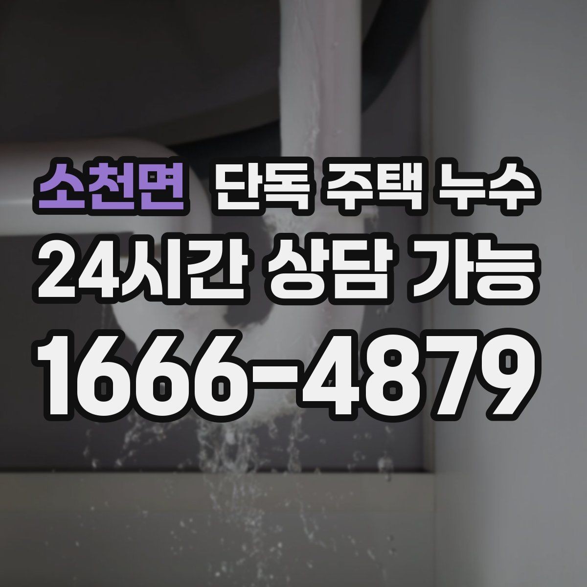 소천면 단독 주택 누수 세면대 트랩 주변 물 고임 원인