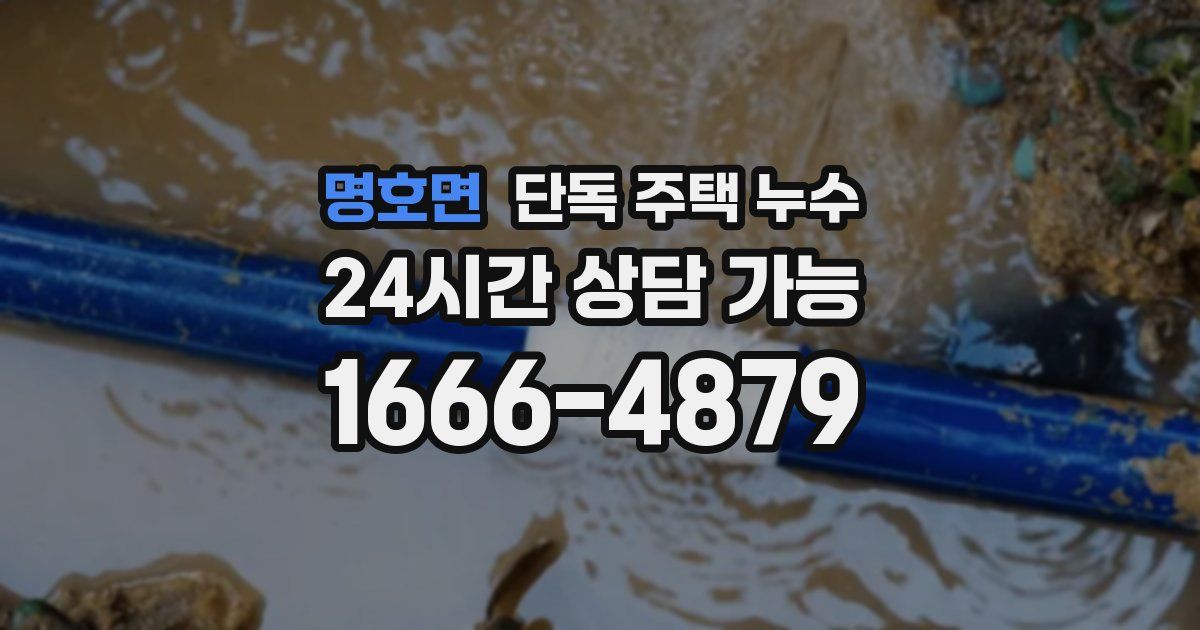 명호면 단독 주택 누수