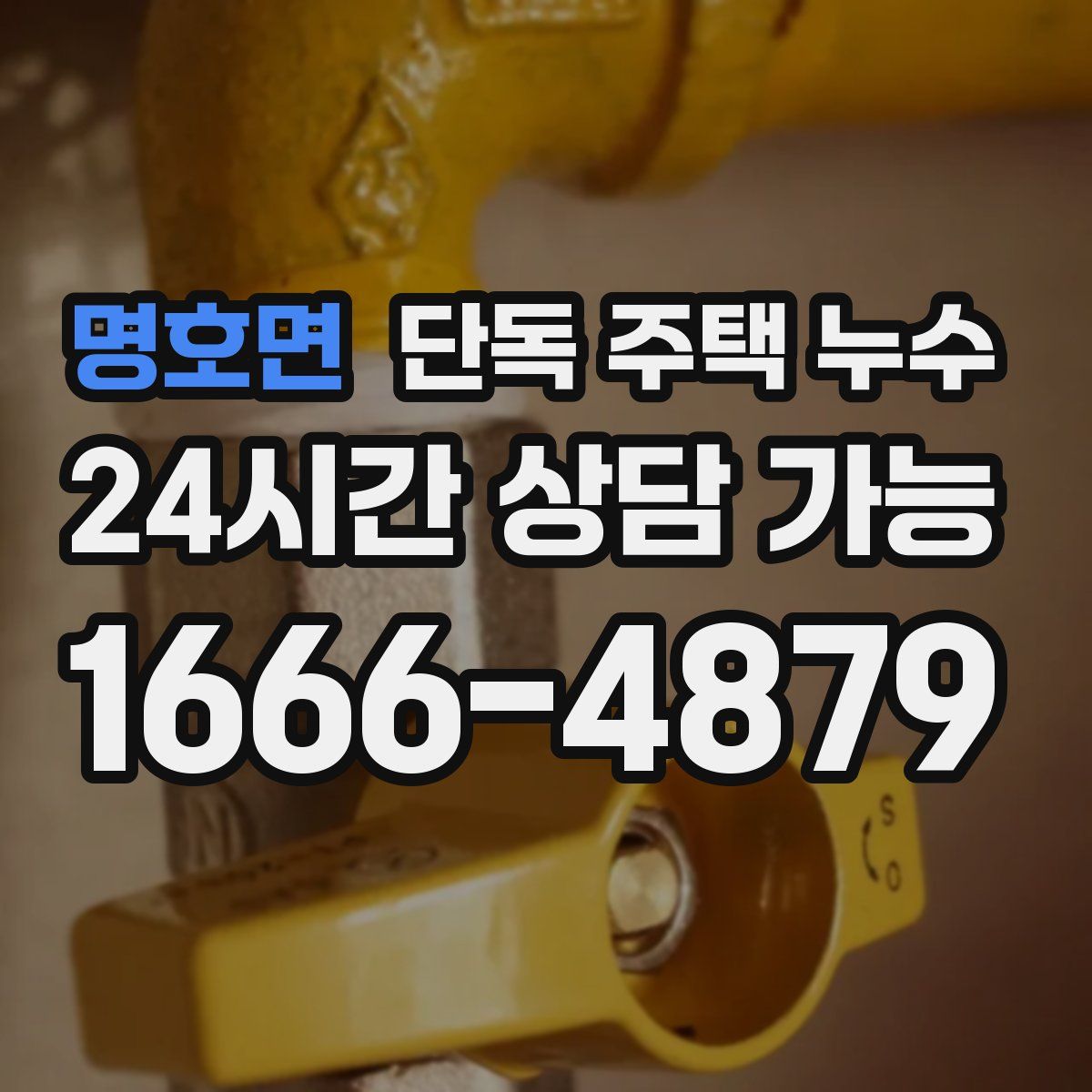 명호면 단독 주택 누수