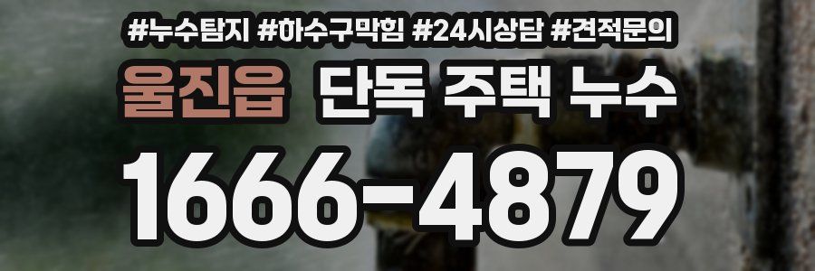 울진읍 단독 주택 누수