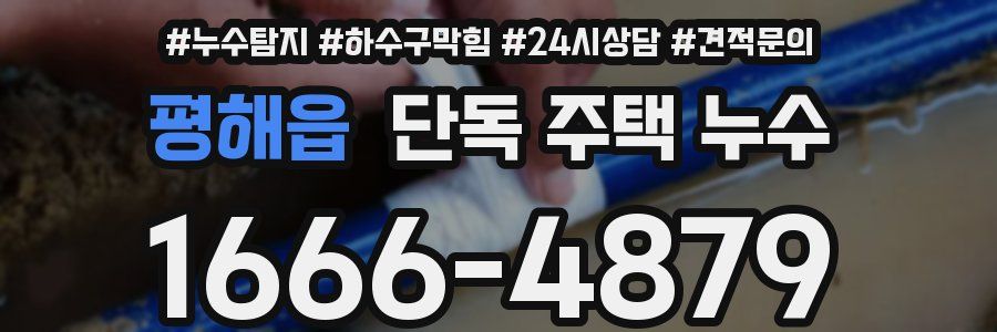 평해읍 단독 주택 누수