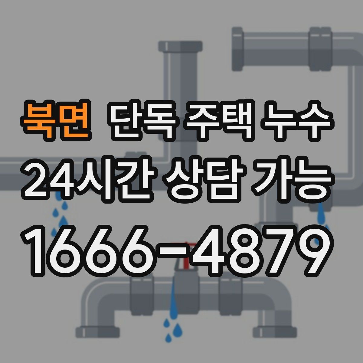 북면 단독 주택 누수 욕실 배수구 주변이 계속 젖을 때