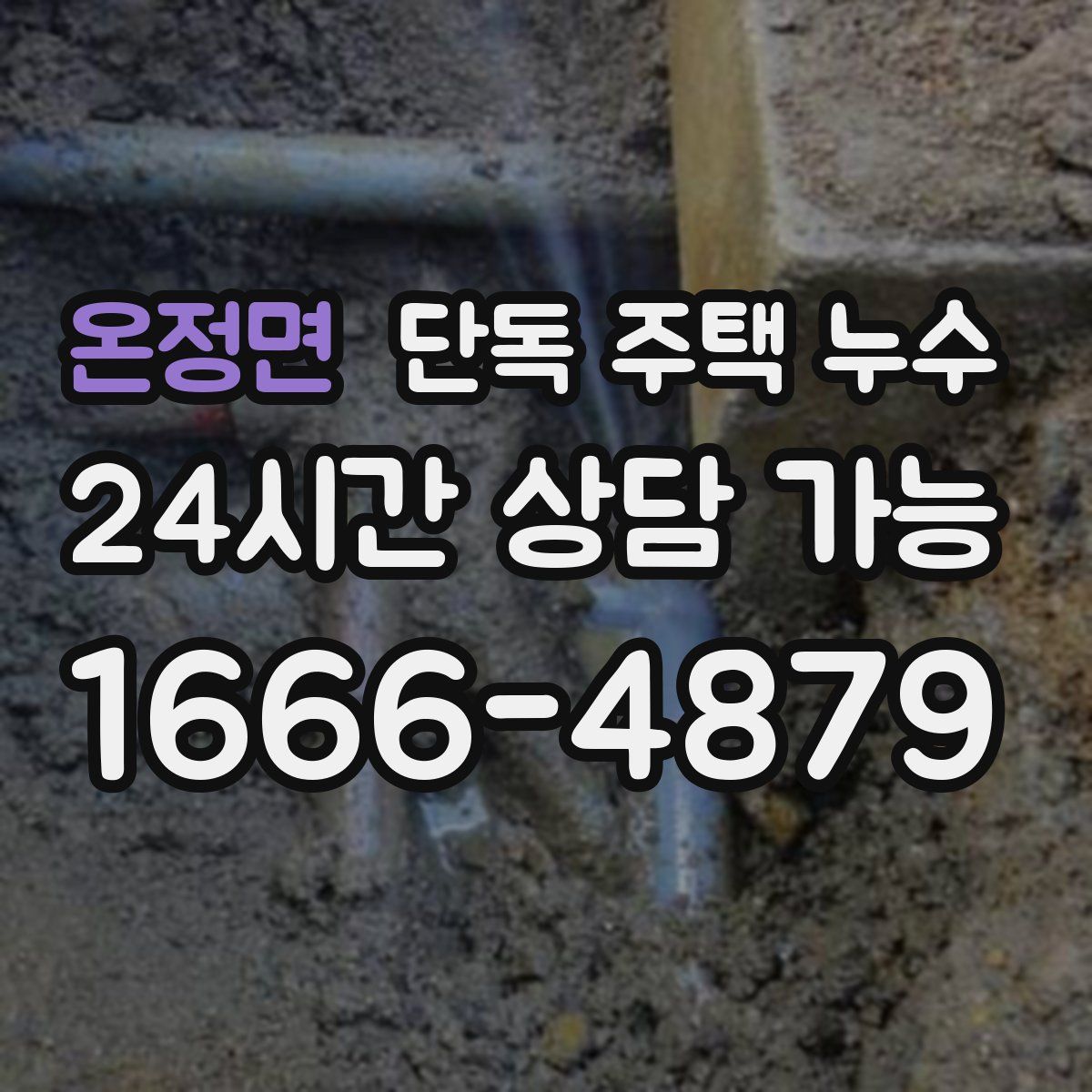 온정면 단독 주택 누수