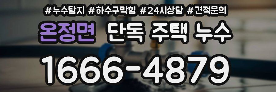 온정면 단독 주택 누수