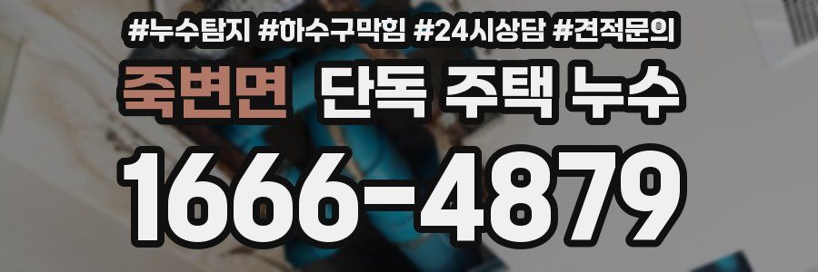 죽변면 단독 주택 누수