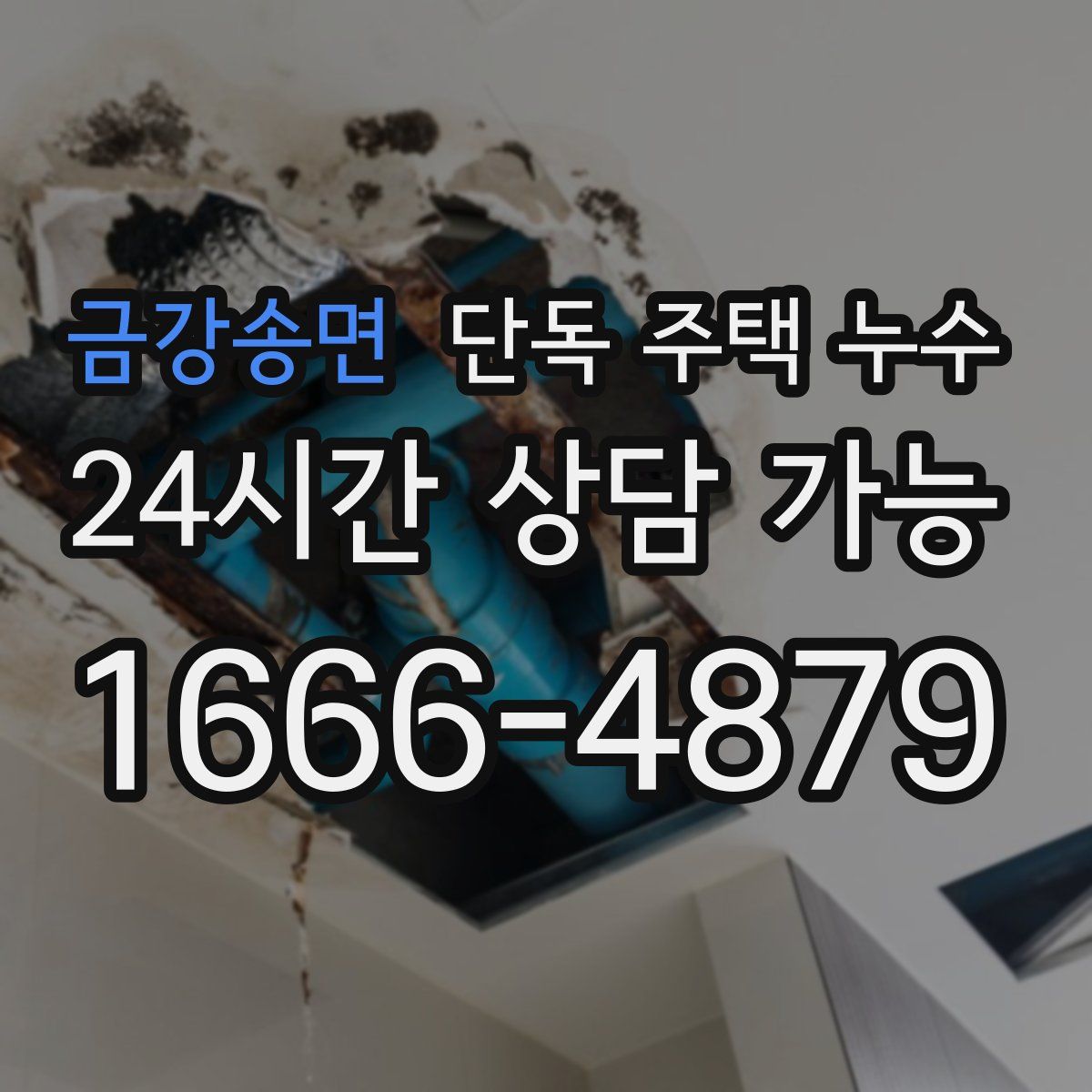 금강송면 단독 주택 누수