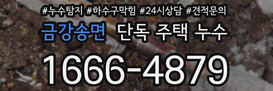 금강송면 단독 주택 누수