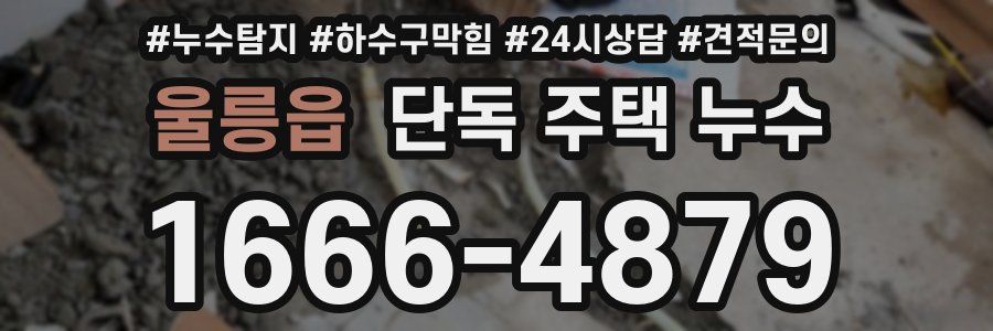 울릉읍 단독 주택 누수