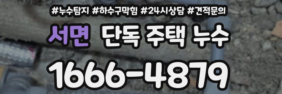 서면 단독 주택 누수