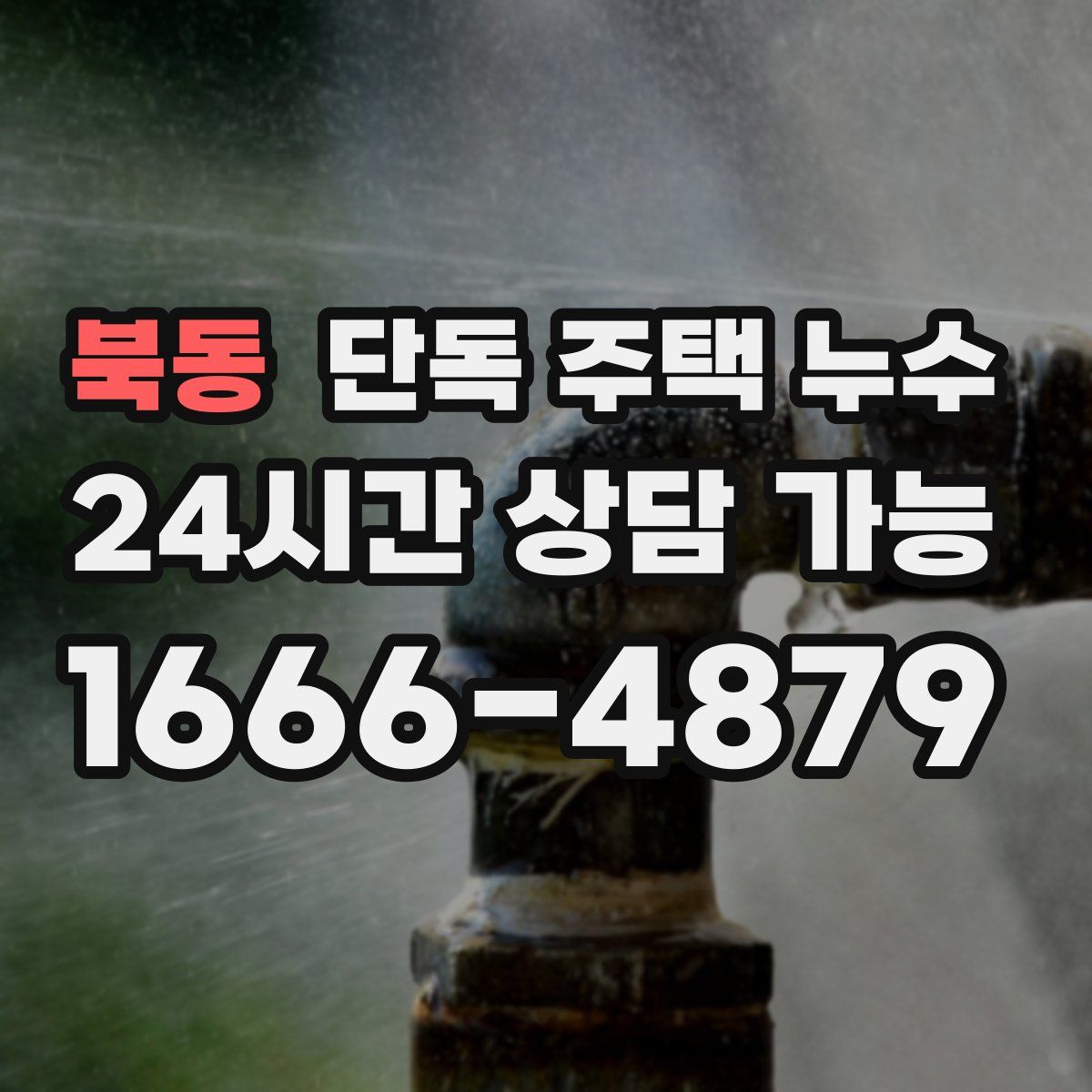 북동 단독 주택 누수