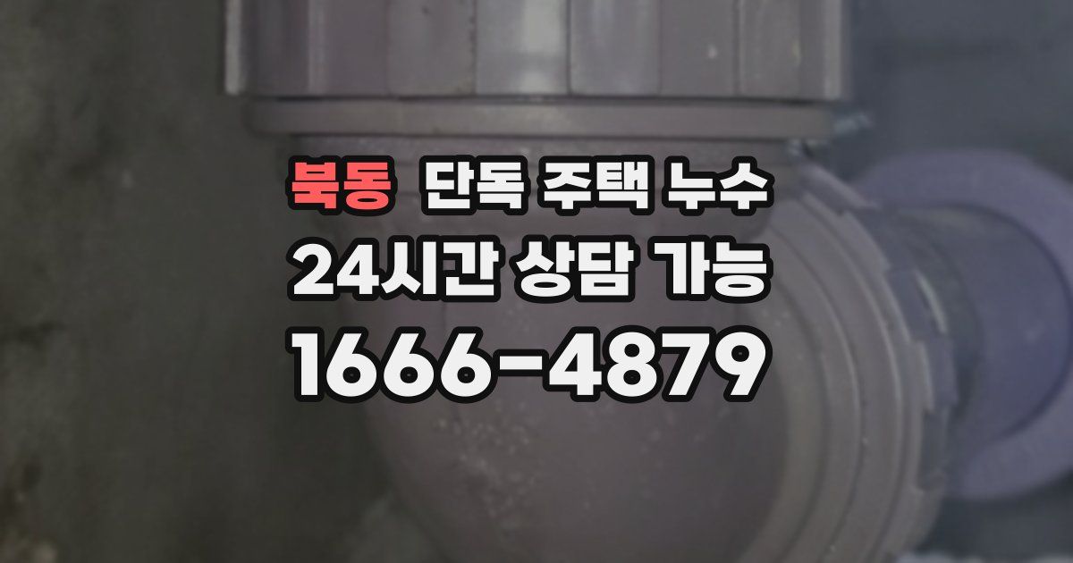 북동 단독 주택 누수