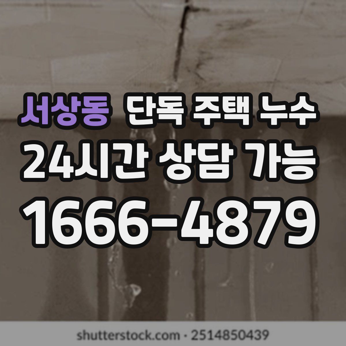 서상동 단독 주택 누수