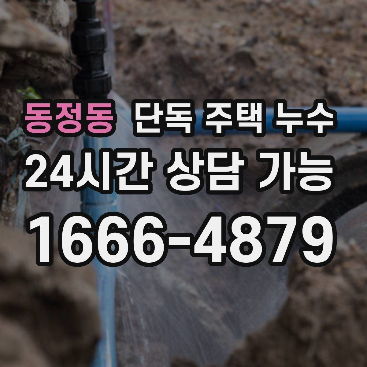 동정동 단독 주택 누수 현관 옆 벽이 젖는다면 외부 배수 점검