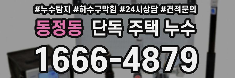 동정동 단독 주택 누수