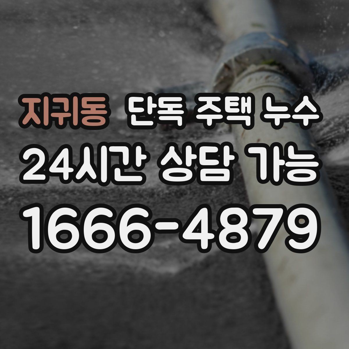 지귀동 단독 주택 누수 현관 옆 벽이 젖는다면 외부 배수 점검