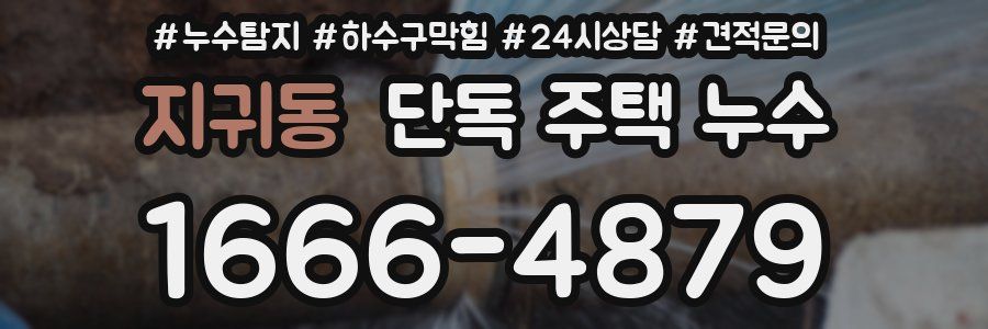 지귀동 단독 주택 누수