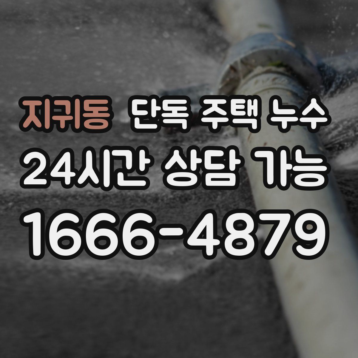 지귀동 단독 주택 누수