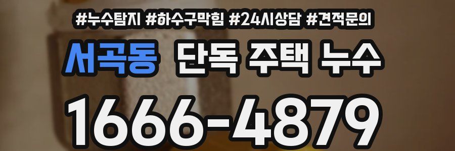 서곡동 단독 주택 누수