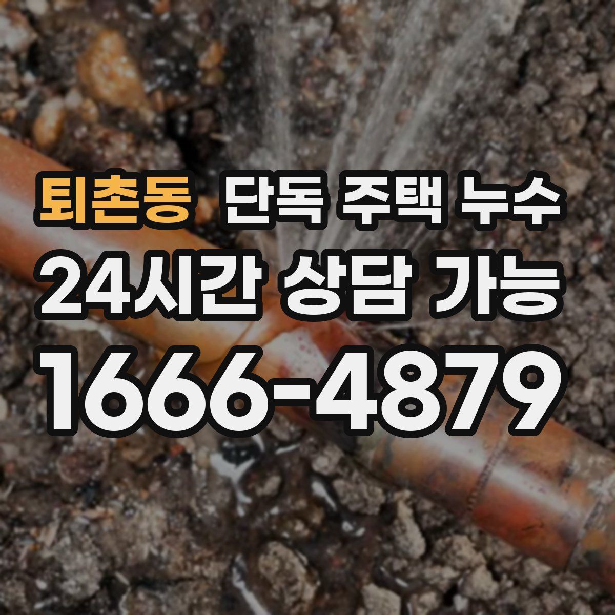퇴촌동 단독 주택 누수