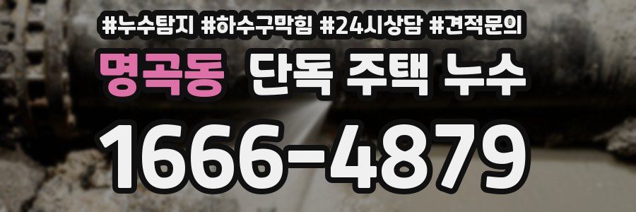 명곡동 단독 주택 누수