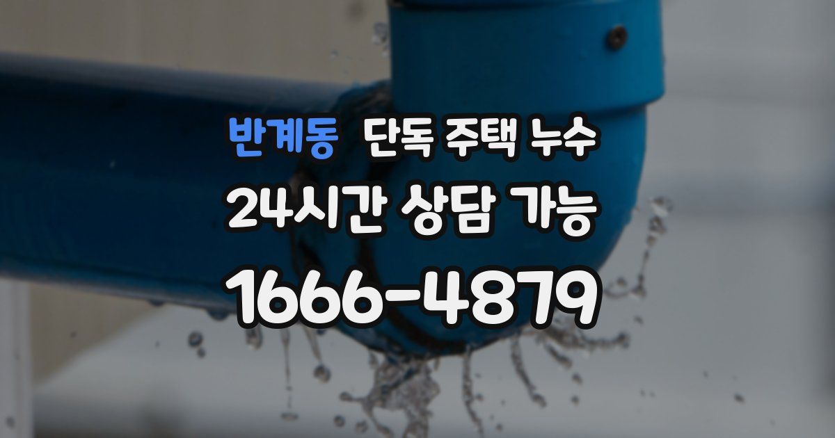 반계동 단독 주택 누수