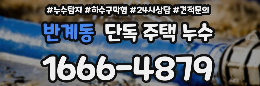 반계동 단독 주택 누수