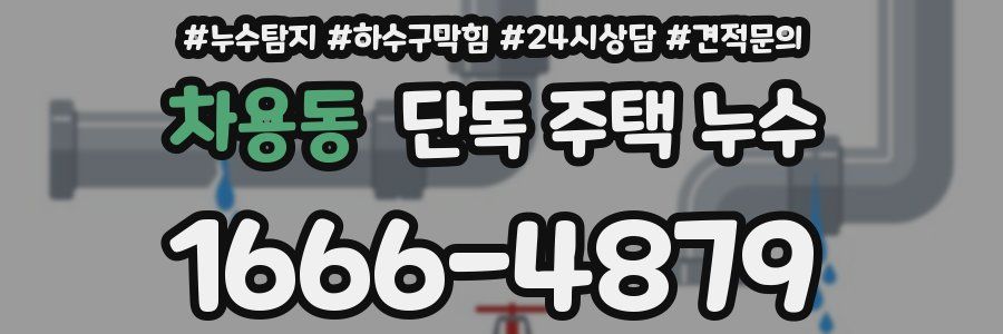 차용동 단독 주택 누수