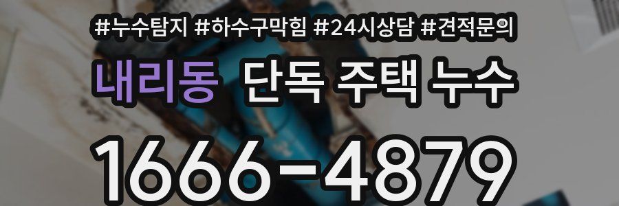 내리동 단독 주택 누수